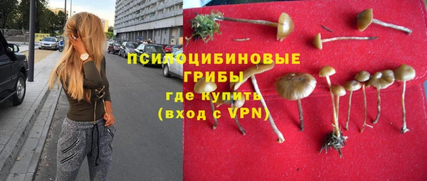 альфа пвп Надым