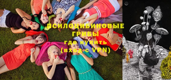 альфа пвп Надым