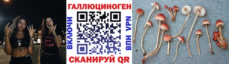 магазин    Михайловск  Псилоцибиновые грибы GOLDEN TEACHER 