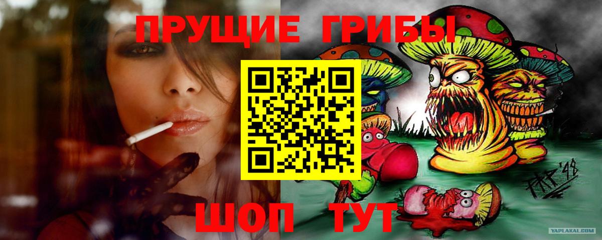 Михайловск  Галлюциногенные грибы Magic Shrooms  Вход с VPN 