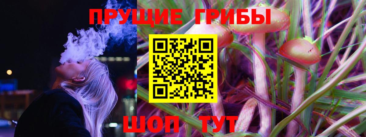 Галлюциногенные грибы ЛСД Михайловск